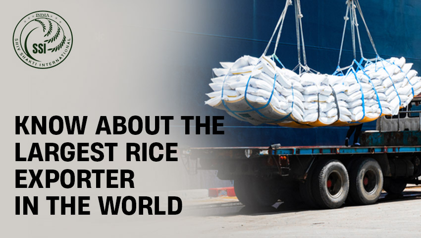 Know About The Largest Rice Exporter In The World