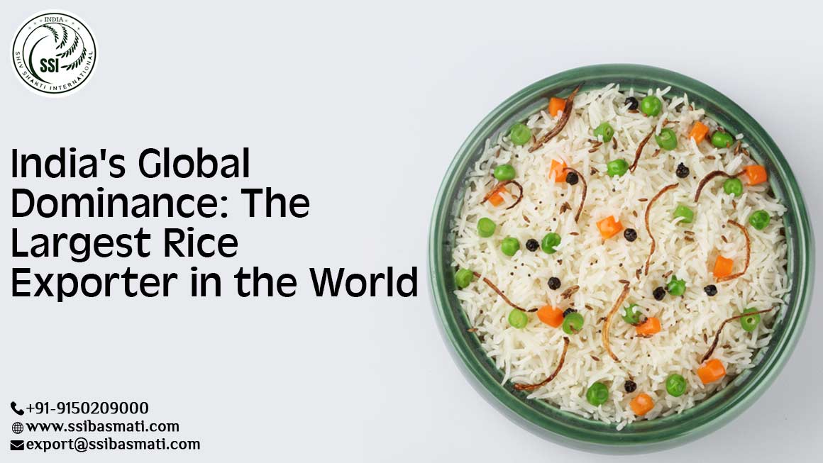 India Global Dominance the Largest Rice Exporter in the World
