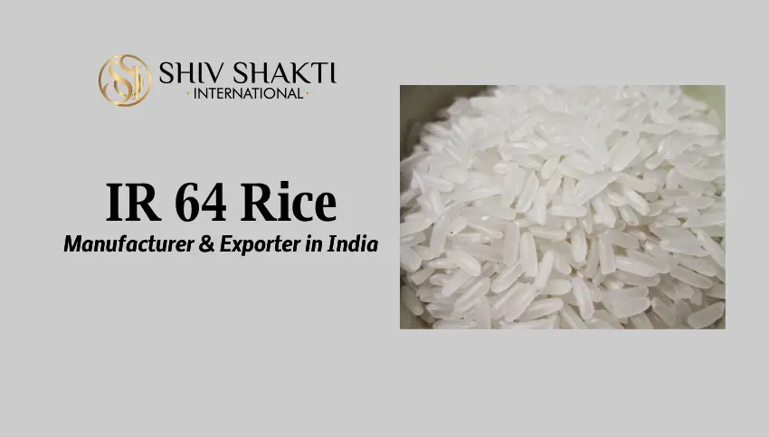 IR 64 Rice Manufacturer and Exporter In India