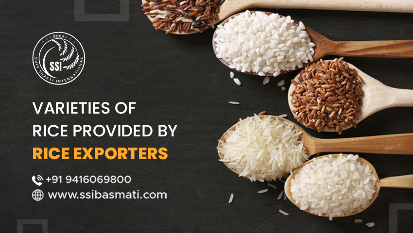 Varieties Of Rice Provided By Rice Exporters