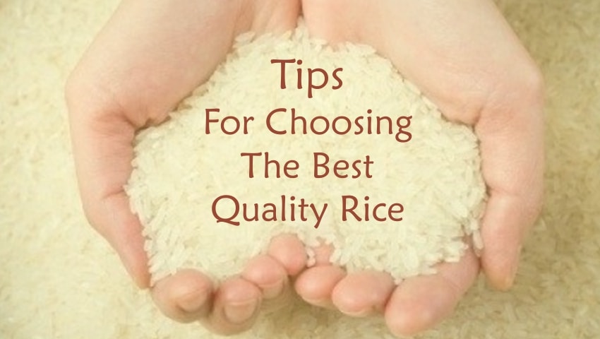 Tips for Choosing the best quality Rice