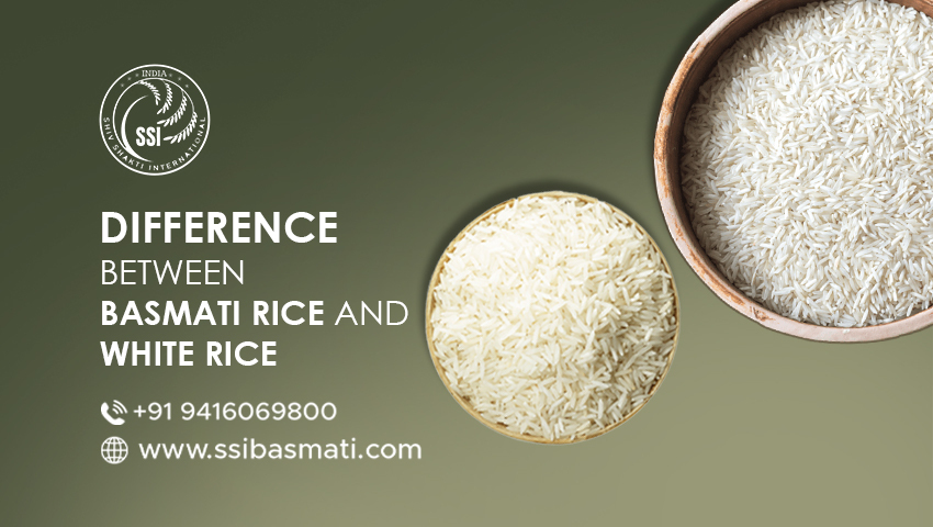 How Basmati Rice is Different from White Rice?