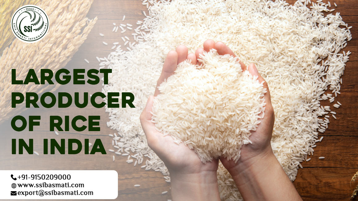 Largest Producer Of Rice In India 