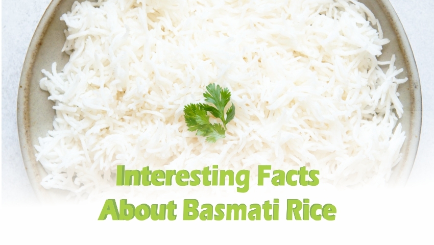 Interesting Facts about Basmati Rice - You Should Know