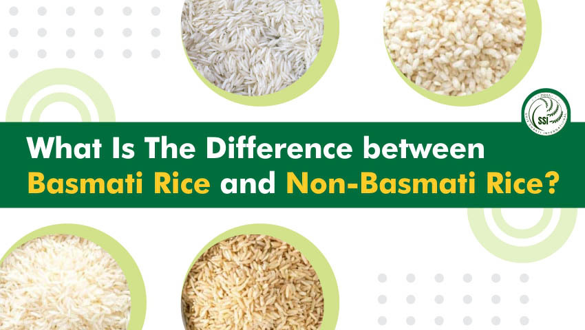 What is the Difference between Basmati Rice and Non-Basmati Rice?