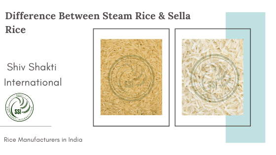 difference-between-sella&steam.png